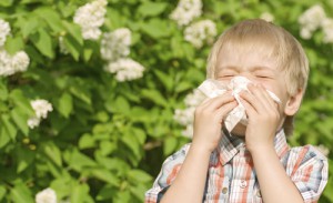 kids-and-hayfever